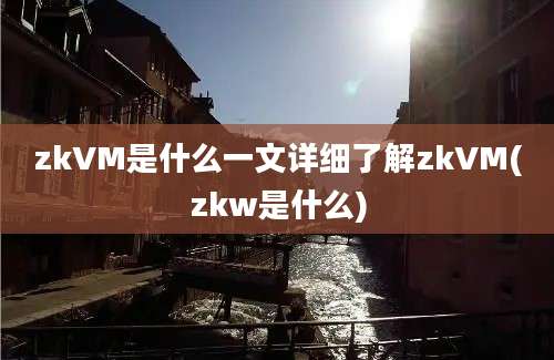 zkVM是什么一文详细了解zkVM(zkw是什么)