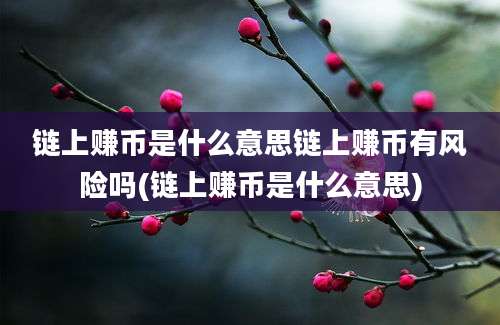 链上赚币是什么意思链上赚币有风险吗(链上赚币是什么意思)