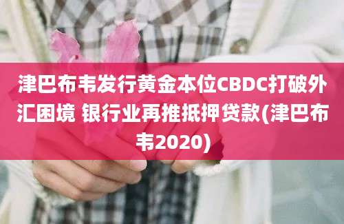 津巴布韦发行黄金本位CBDC打破外汇困境 银行业再推抵押贷款(津巴布韦2020)