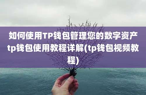 如何使用TP钱包管理您的数字资产tp钱包使用教程详解(tp钱包视频教程)