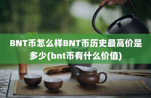 BNT币怎么样BNT币历史最高价是多少(bnt币有什么价值)