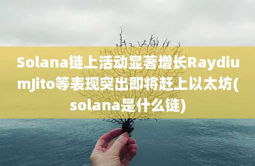 Solana链上活动显著增长RaydiumJito等表现突出即将赶上以太坊(solana是什么链)