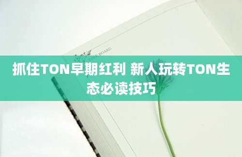 抓住TON早期红利 新人玩转TON生态必读技巧