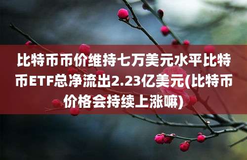 比特币币价维持七万美元水平比特币ETF总净流出2.23亿美元(比特币价格会持续上涨嘛)