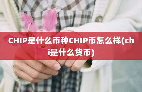 CHIP是什么币种CHIP币怎么样(chi是什么货币)