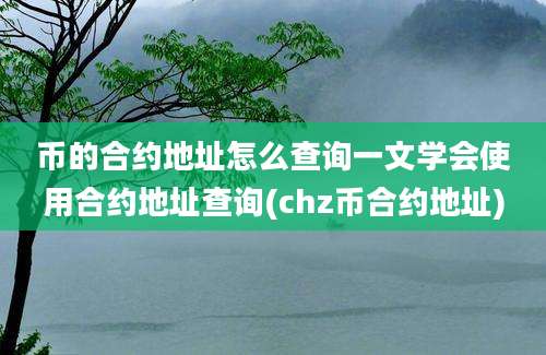 币的合约地址怎么查询一文学会使用合约地址查询(chz币合约地址)