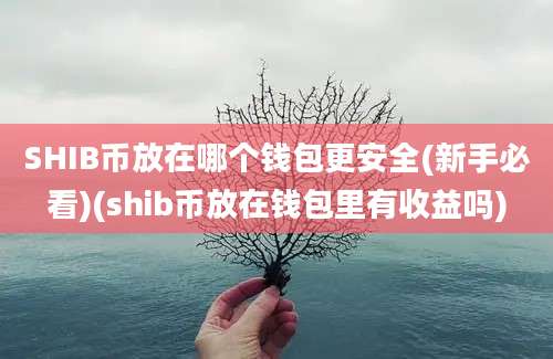 SHIB币放在哪个钱包更安全(新手必看)(shib币放在钱包里有收益吗)