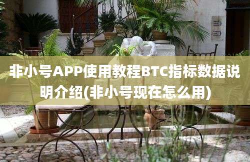 非小号APP使用教程BTC指标数据说明介绍(非小号现在怎么用)