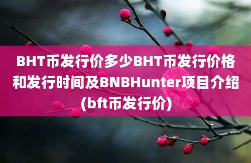 BHT币发行价多少BHT币发行价格和发行时间及BNBHunter项目介绍(bft币发行价)