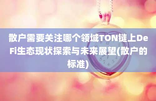 散户需要关注哪个领域TON链上DeFi生态现状探索与未来展望(散户的标准)