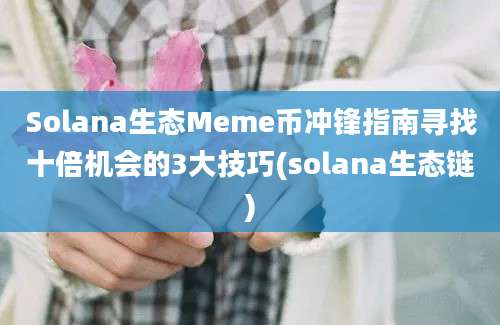 Solana生态Meme币冲锋指南寻找十倍机会的3大技巧(solana生态链)