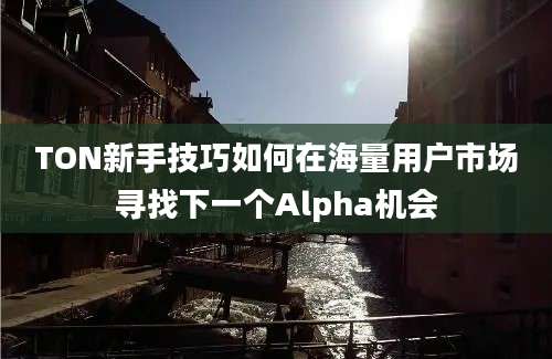 TON新手技巧如何在海量用户市场寻找下一个Alpha机会