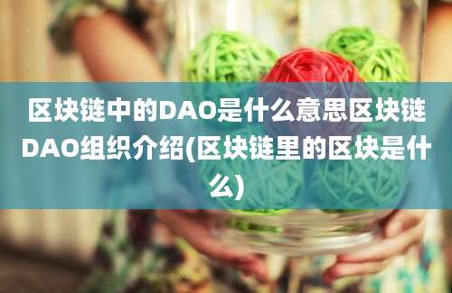 区块链中的DAO是什么意思区块链DAO组织介绍(区块链里的区块是什么)