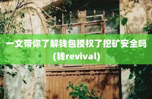 一文带你了解钱包授权了挖矿安全吗(钱revival)