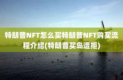 特朗普NFT怎么买特朗普NFT购买流程介绍(特朗普买岛遭拒)