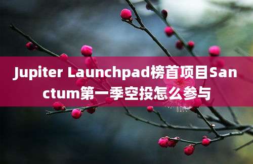 Jupiter Launchpad榜首项目Sanctum第一季空投怎么参与