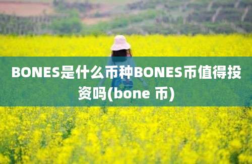 BONES是什么币种BONES币值得投资吗(bone 币)