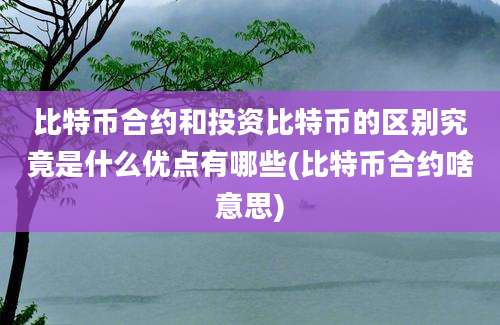 比特币合约和投资比特币的区别究竟是什么优点有哪些(比特币合约啥意思)