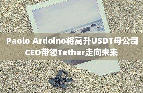 Paolo Ardoino将高升USDT母公司CEO带领Tether走向未来