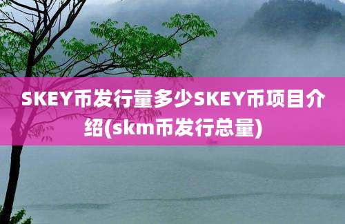 SKEY币发行量多少SKEY币项目介绍(skm币发行总量)