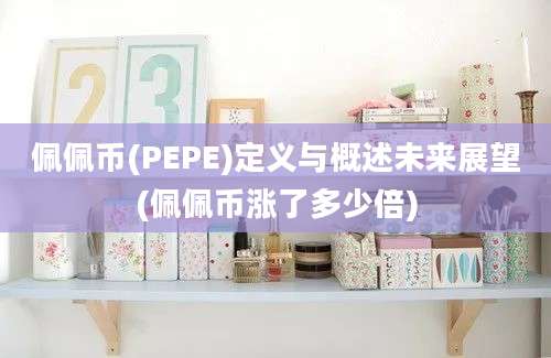 佩佩币(PEPE)定义与概述未来展望(佩佩币涨了多少倍)