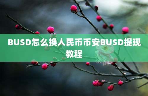 BUSD怎么换人民币币安BUSD提现教程