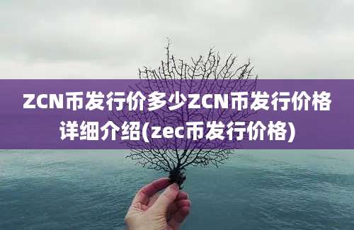 ZCN币发行价多少ZCN币发行价格详细介绍(zec币发行价格)