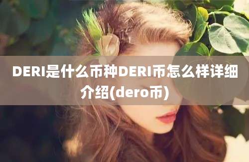 DERI是什么币种DERI币怎么样详细介绍(dero币)