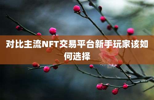 对比主流NFT交易平台新手玩家该如何选择