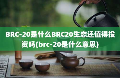 BRC-20是什么BRC20生态还值得投资吗(brc-20是什么意思)