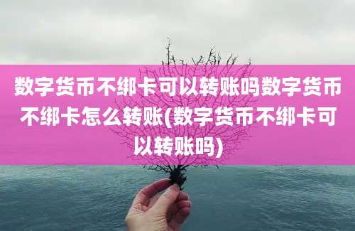 数字货币不绑卡可以转账吗数字货币不绑卡怎么转账(数字货币不绑卡可以转账吗)