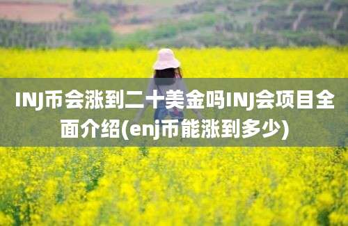 INJ币会涨到二十美金吗INJ会项目全面介绍(enj币能涨到多少)