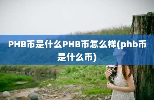 PHB币是什么PHB币怎么样(phb币是什么币)