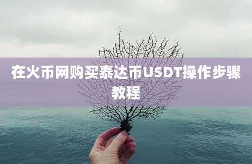 在火币网购买泰达币USDT操作步骤教程