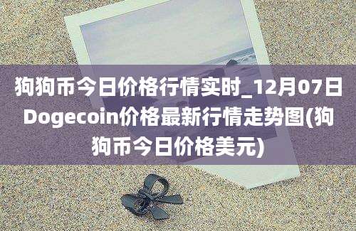 狗狗币今日价格行情实时_12月07日Dogecoin价格最新行情走势图(狗狗币今日价格美元)