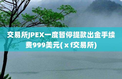 交易所JPEX一度暂停提款出金手续费999美元(ⅹf交易所)