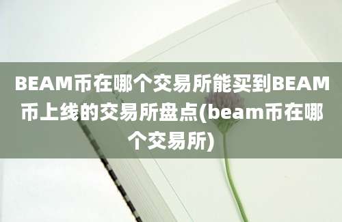 BEAM币在哪个交易所能买到BEAM币上线的交易所盘点(beam币在哪个交易所)