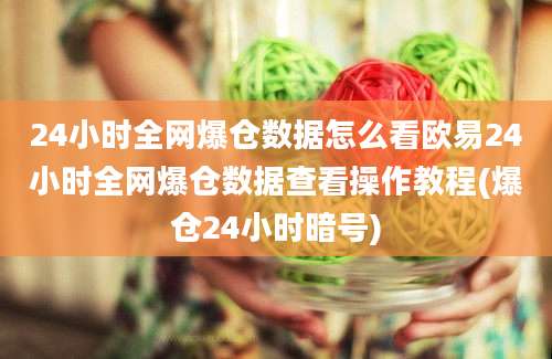 24小时全网爆仓数据怎么看欧易24小时全网爆仓数据查看操作教程(爆仓24小时暗号)