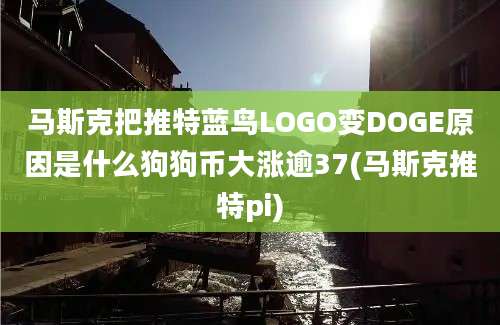 马斯克把推特蓝鸟LOGO变DOGE原因是什么狗狗币大涨逾37(马斯克推特pi)