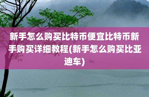 新手怎么购买比特币便宜比特币新手购买详细教程(新手怎么购买比亚迪车)