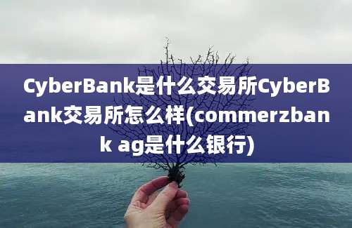 CyberBank是什么交易所CyberBank交易所怎么样(commerzbank ag是什么银行)