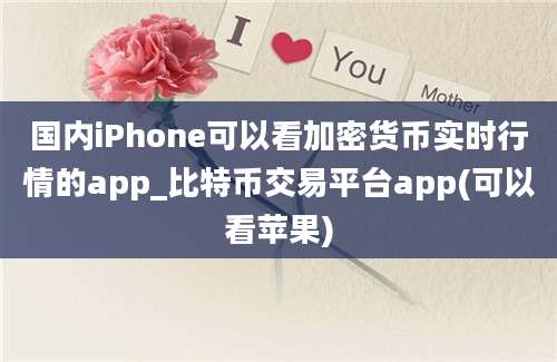 国内iPhone可以看加密货币实时行情的app_比特币交易平台app(可以看苹果)