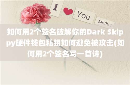 如何用2个签名破解你的Dark Skippy硬件钱包私钥如何避免被攻击(如何用2个签名写一首诗)