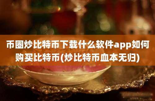 币圈炒比特币下载什么软件app如何购买比特币(炒比特币血本无归)