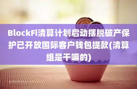 BlockFi清算计划启动摆脱破产保护已开放国际客户钱包提款(清算组是干嘛的)