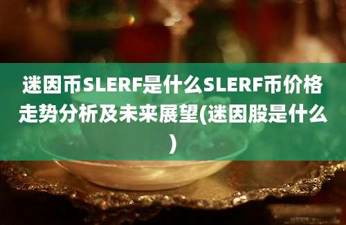 迷因币SLERF是什么SLERF币价格走势分析及未来展望(迷因股是什么)