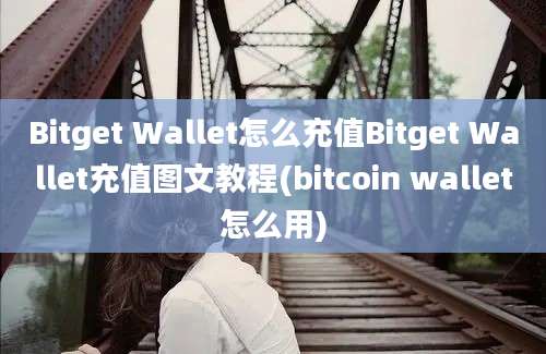 Bitget Wallet怎么充值Bitget Wallet充值图文教程(bitcoin wallet怎么用)