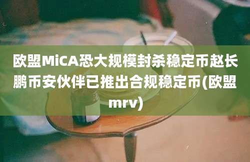 欧盟MiCA恐大规模封杀稳定币赵长鹏币安伙伴已推出合规稳定币(欧盟mrv)