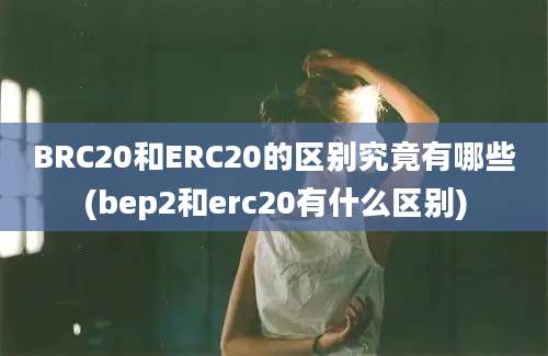 BRC20和ERC20的区别究竟有哪些(bep2和erc20有什么区别)