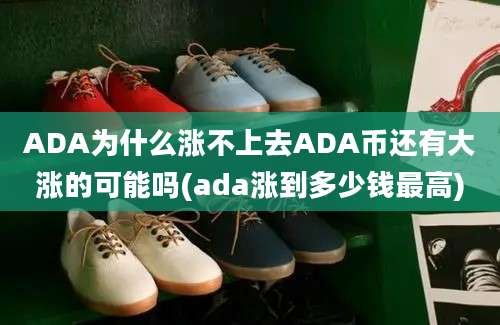 ADA为什么涨不上去ADA币还有大涨的可能吗(ada涨到多少钱最高)